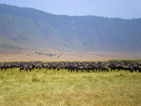 Viaggio un Tanzania viaggio in Tanzania